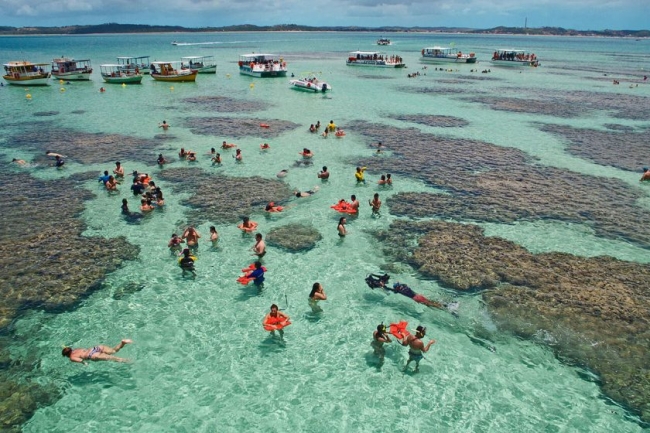 Brasil - Verano 2020 ❙ Maragogi